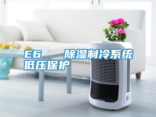 E6 除濕制冷系統低壓保護