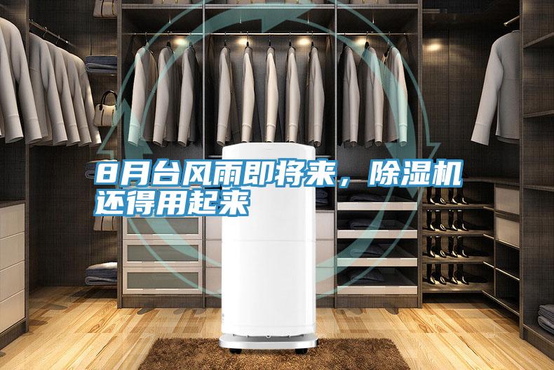 8月臺風雨即將來,除濕機還得用起來