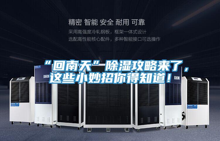 “回南天”除濕攻略來了,這些小妙招你得知道!