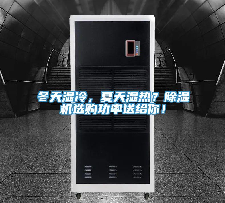 冬天濕冷，夏天濕熱？除濕機選購功率送給你！