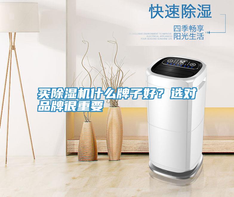 買除濕機什么牌子好?選對品牌很重要