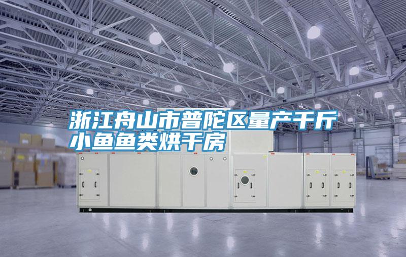 浙江舟山市普陀區(qū)量產千斤小魚魚類烘干房