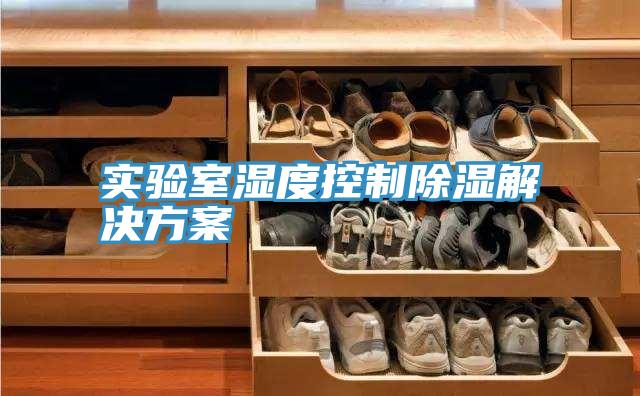 實驗室濕度控制除濕解決方案