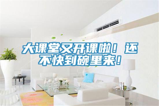 大課堂又開課啦！還不快到碗里來！