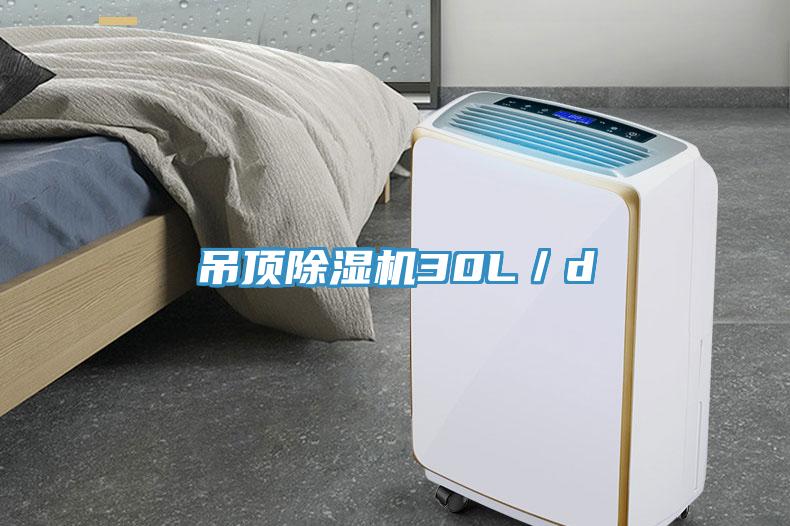 吊頂除濕機30L/d