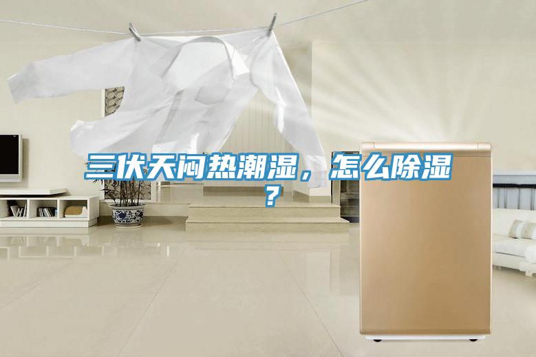 三伏天悶熱潮濕，怎么除濕？