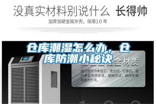 倉庫潮濕怎么辦，倉庫防潮小秘訣