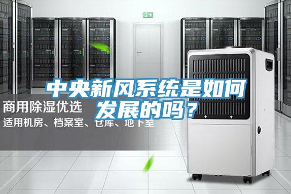 中央新風系統是如何發展的嗎？