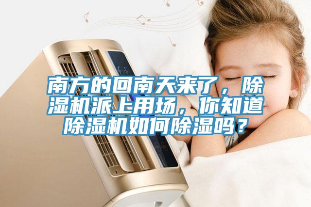 南方的回南天來了，除濕機派上用場，你知道除濕機如何除濕嗎？