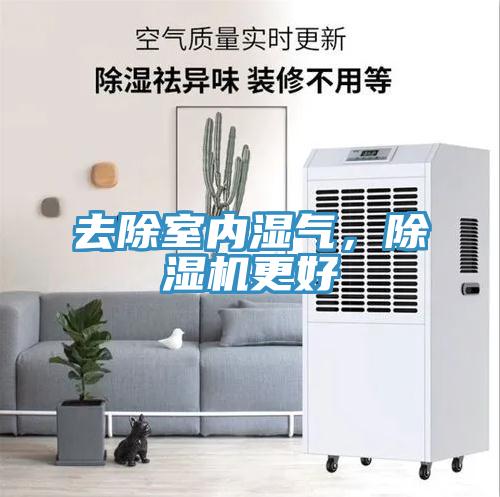 去除室內濕氣,除濕機更好