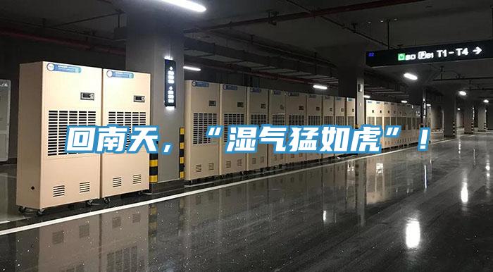 回南天，“濕氣猛如虎”！