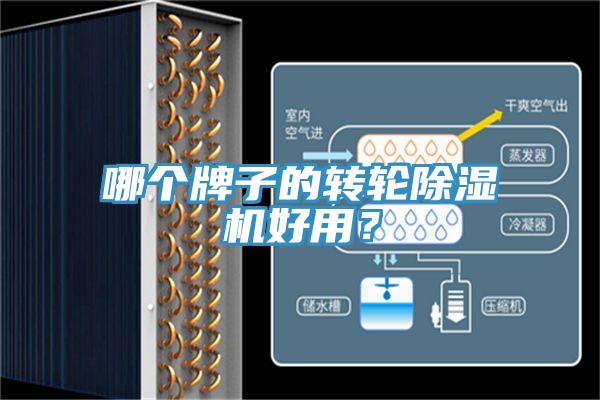 哪個牌子的轉輪除濕機好用？