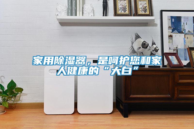 家用除濕器，是呵護您和家人健康的“大白”