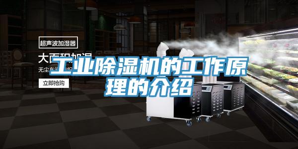 工業除濕機的工作原理的介紹
