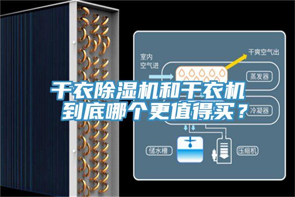 干衣除濕機和干衣機 到底哪個更值得買？