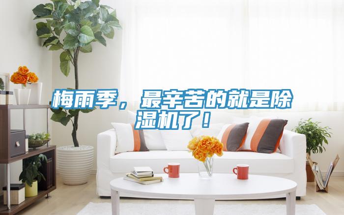 梅雨季，最辛苦的就是除濕機了！