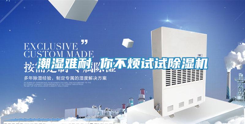 潮濕難耐 你不煩試試除濕機(jī)