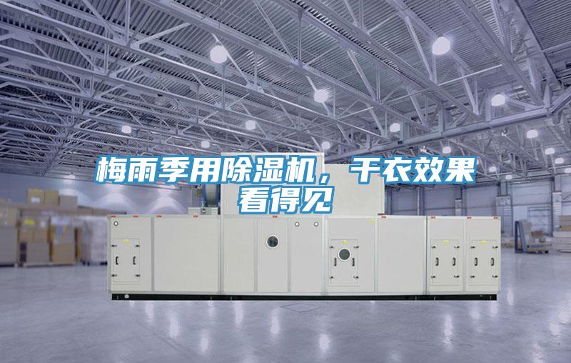 梅雨季用除濕機，干衣效果看得見
