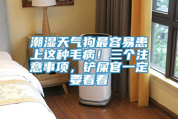 潮濕天氣狗最容易患上這種毛病！三個(gè)注意事項(xiàng)，鏟屎官一定要看看