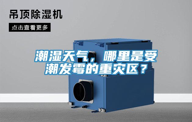 潮濕天氣，哪里是受潮發霉的重災區？