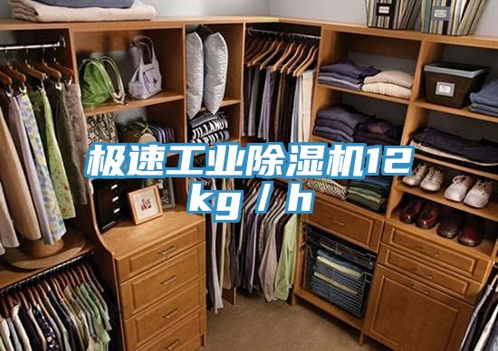 極速工業(yè)除濕機(jī)12kg／h