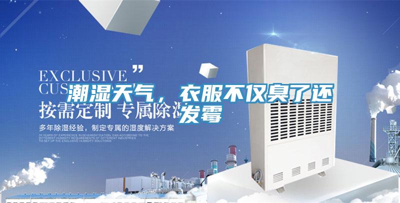 潮濕天氣，衣服不僅臭了還發霉