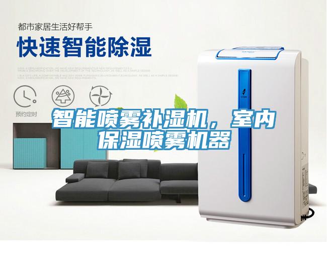 梅雨季防潮神器：空凈除濕雙管齊下！