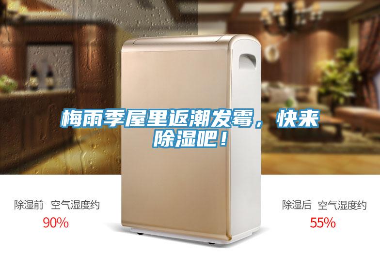 梅雨季屋里返潮發(fā)霉，快來(lái)除濕吧！