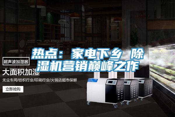 熱點(diǎn)：家電下鄉(xiāng) 除濕機(jī)營銷巔峰之作