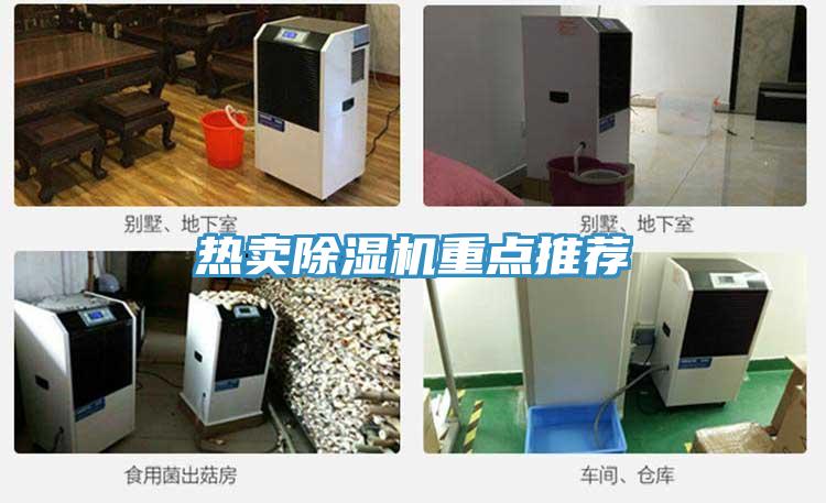 熱賣除濕機重點推薦