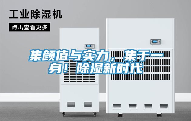 集顏值與實力,集于一身!除濕新時代