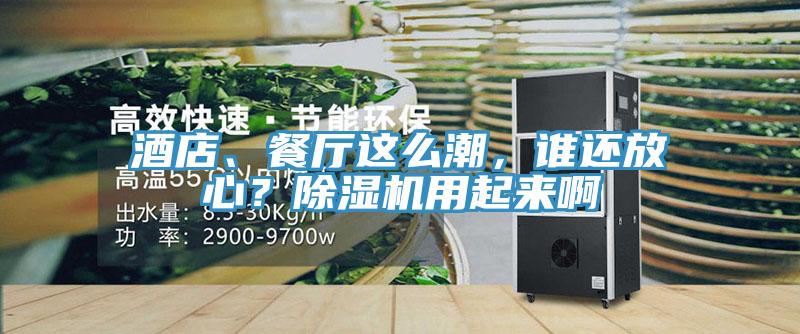 酒店、餐廳這么潮，誰還放心？除濕機用起來啊