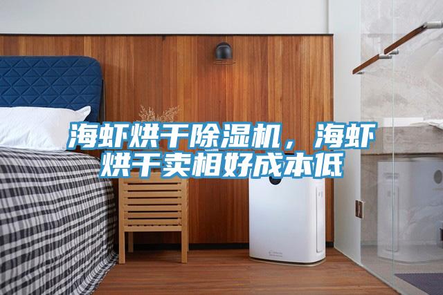 海蝦烘干除濕機，海蝦烘干賣相好成本低