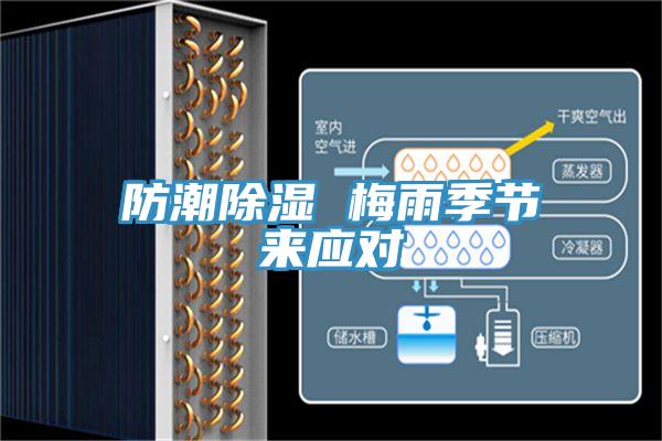 防潮除濕 梅雨季節來應對