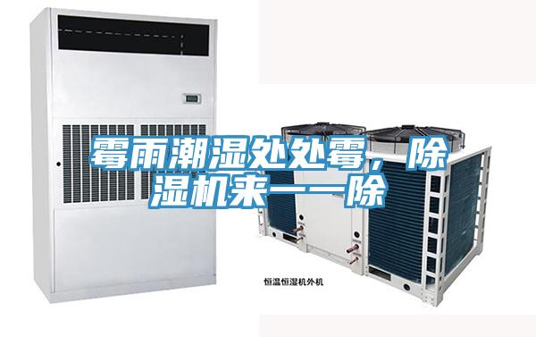 霉雨潮濕處處霉,除濕機來一一除
