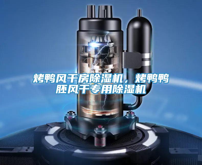 烤鴨風干房除濕機，烤鴨鴨胚風干專用除濕機