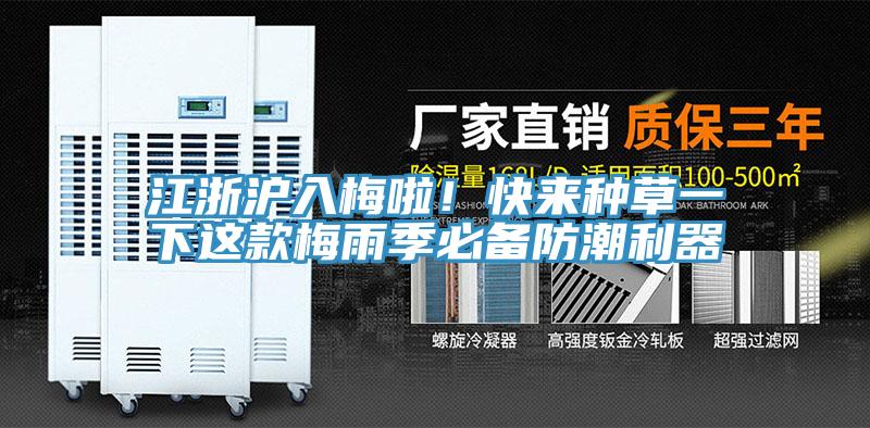 江浙滬入梅啦！快來種草一下這款梅雨季必備防潮利器