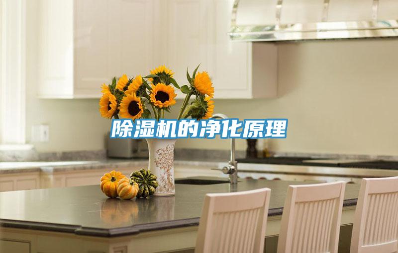 除濕機的凈化原理