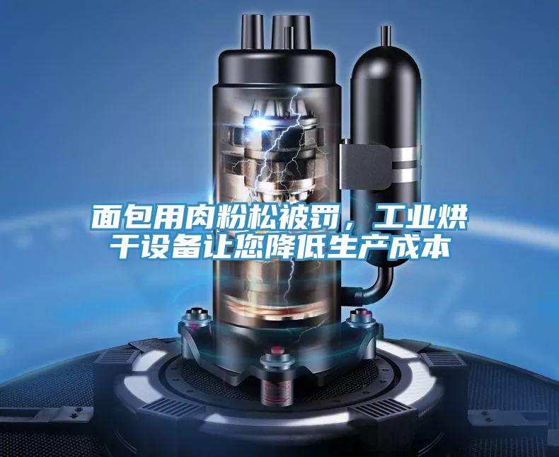 面包用肉粉松被罰，工業烘干設備讓您降低生產成本