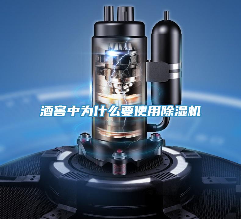 酒窖中為什么要使用除濕機