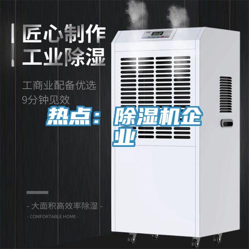熱點：除濕機企業