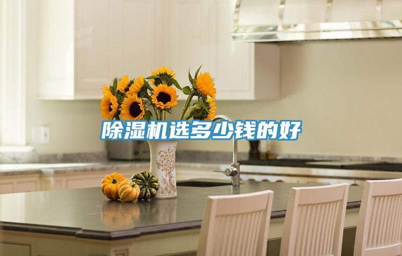除濕機選多少錢的好