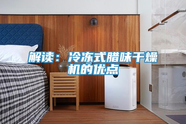 解讀：冷凍式臘味干燥機的優點