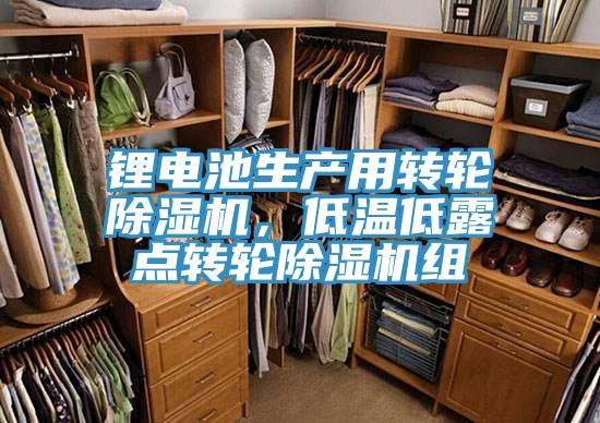 鋰電池生產(chǎn)用轉(zhuǎn)輪除濕機(jī)，低溫低露點(diǎn)轉(zhuǎn)輪除濕機(jī)組