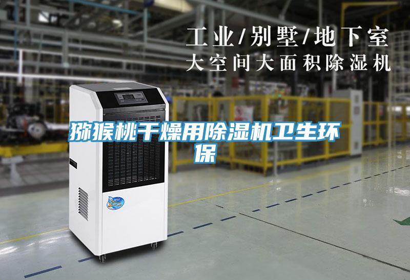 獼猴桃干燥用除濕機衛生環保