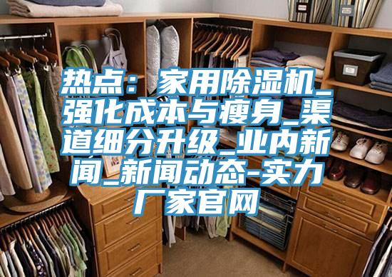 熱點：家用除濕機_強化成本與瘦身_渠道細分升級_業內新聞_新聞動態-實力廠家官網