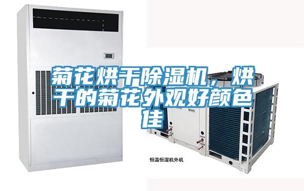 菊花烘干除濕機，烘干的菊花外觀好顏色佳