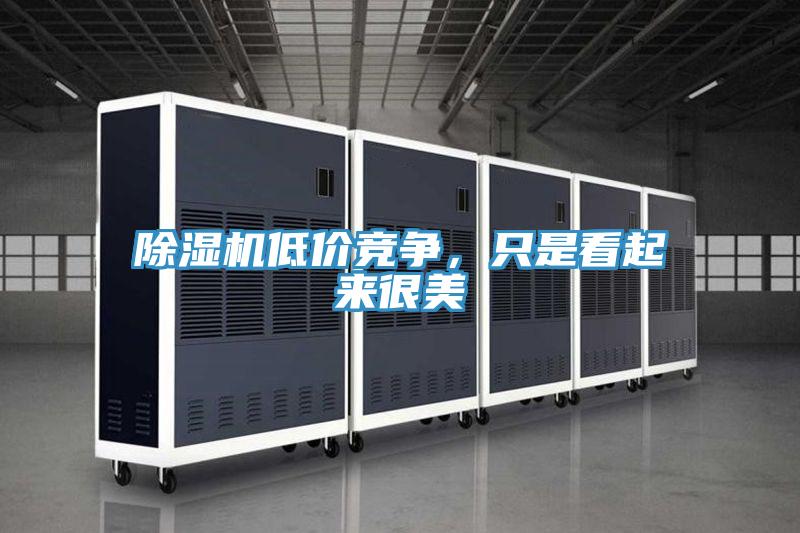 除濕機低價競爭，只是看起來很美