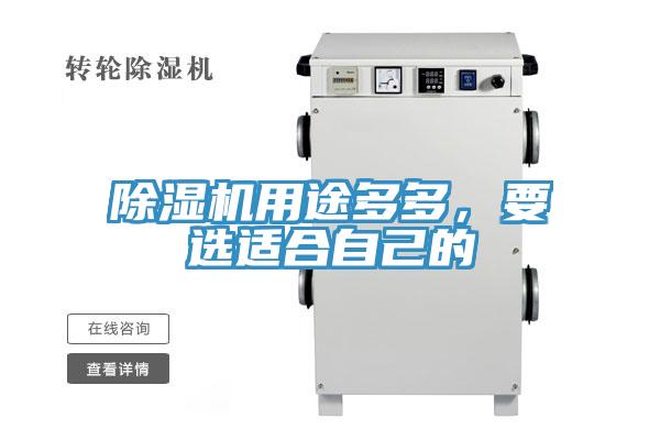 除濕機(jī)用途多多，要選適合自己的