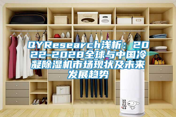 QYResearch淺析：2022-2028全球與中國冷凝除濕機市場現(xiàn)狀及未來發(fā)展趨勢